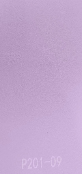P201-09