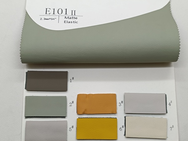 E101(2)